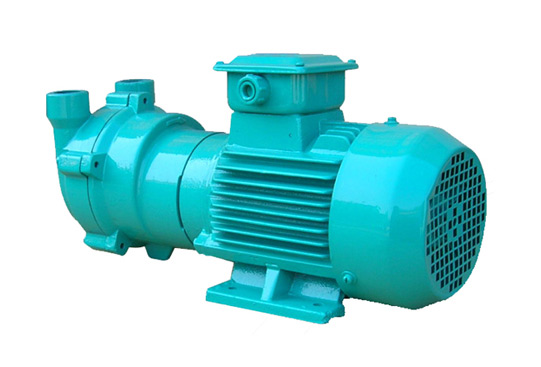 Liquid ring vacuum pump